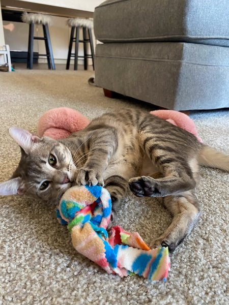 Handcrafted Catnip Knots