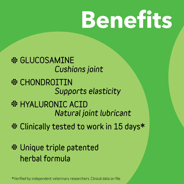Canine Large Dog Connectin | Clinically Proven Hip & Joint Supplement, Soft Chews