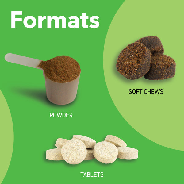 Canine Connectin | Clinically Proven Hip & Joint Supplement, Soft Chews