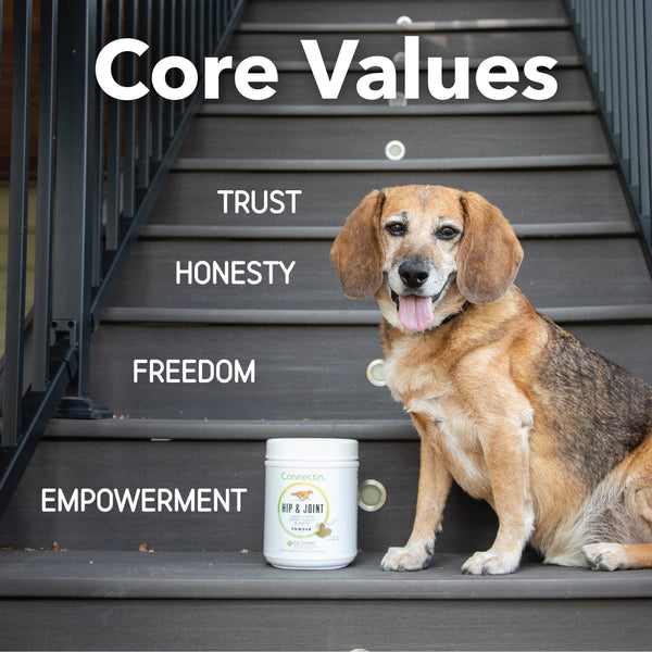 Canine Connectin | Clinically Proven Hip & Joint Supplement, Soft Chews