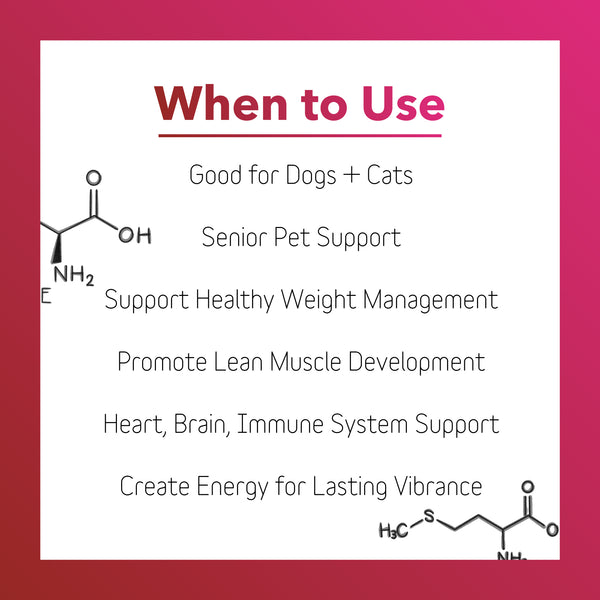 Heart+ Supplement for Dogs + Cats (BioVibrant)