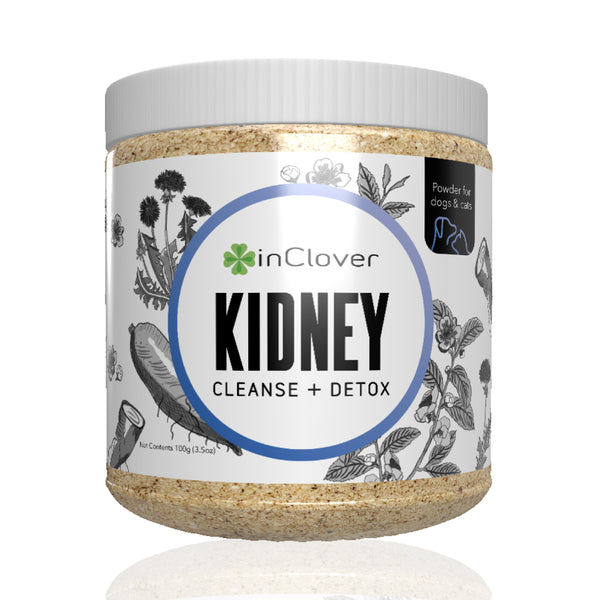 Kidney Supplement for Dogs + Cats (BioRen)