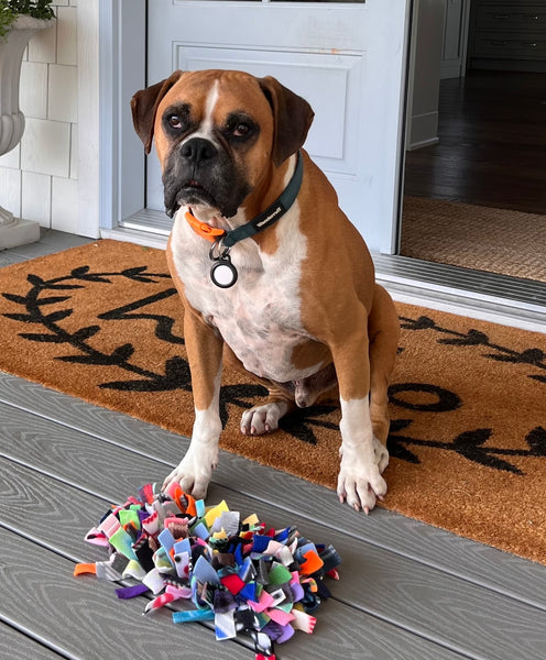 Handcrafted Snuffle Mat