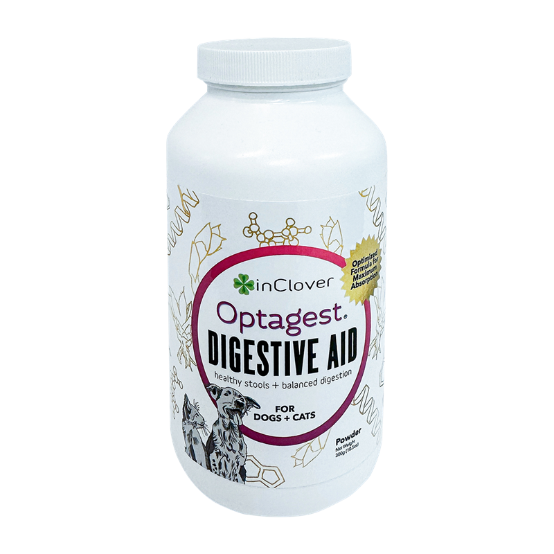 Optagest | Digestive Enzymes & Plant Based Prebiotics | 100