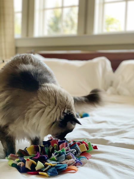 Handcrafted Snuffle Mat