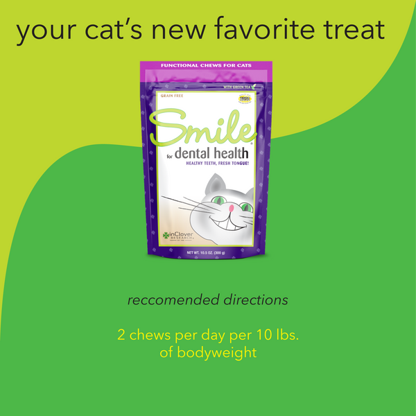 Smile | Dental Support Supplement Soft Chew for Cats