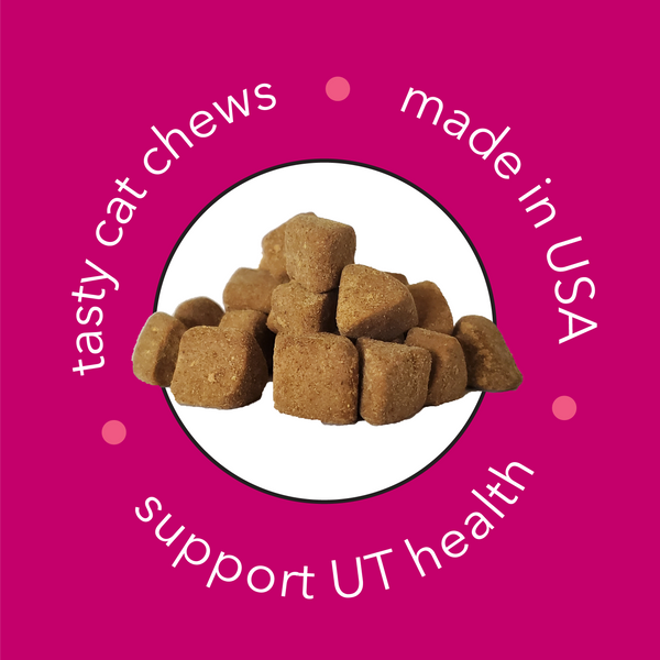 Flow | UT Health Soft Chew With Cranberry Extract for Cats