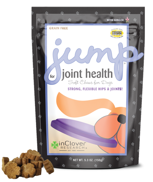 Jump | Hip & Joint Dog Chew Supplement for Active Dogs