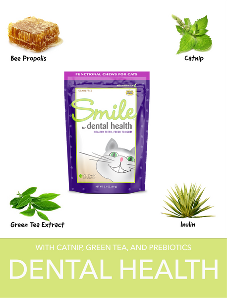 Smile | Dental Support Supplement Soft Chew for Cats