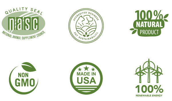 Equine Connectin | All-in-One Joint Support for Horses