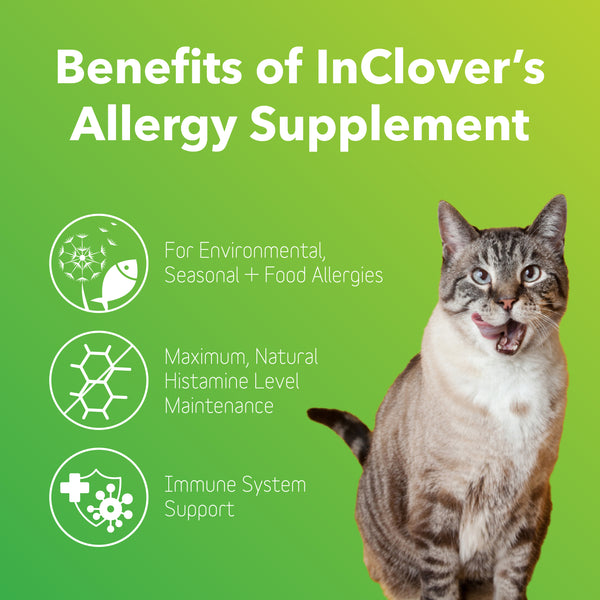 Allergy Supplement for Dogs + Cats (BioResiliant)