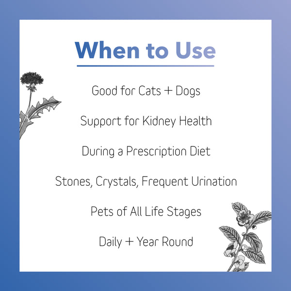 Kidney Supplement for Dogs + Cats (BioRen)