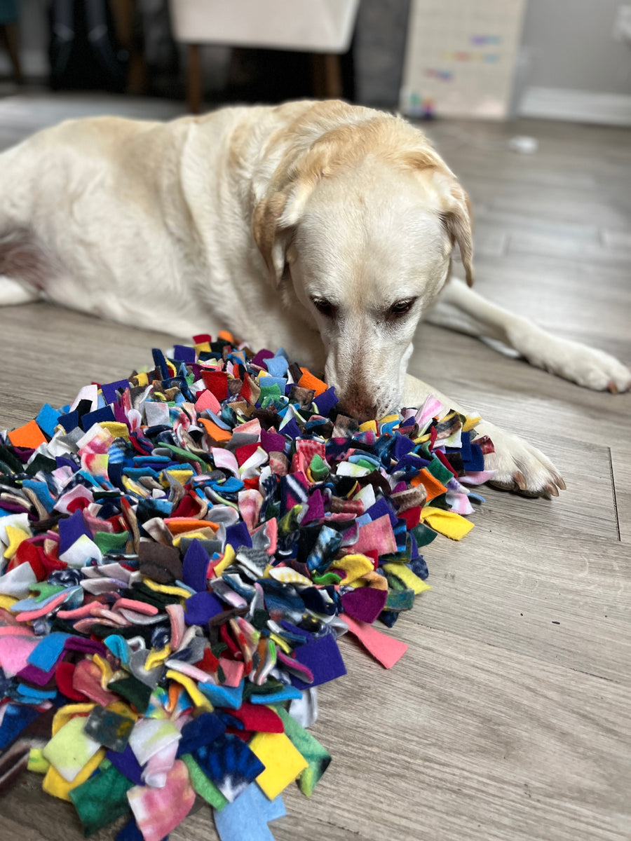Handcrafted Snuffle Mat – InClover Research