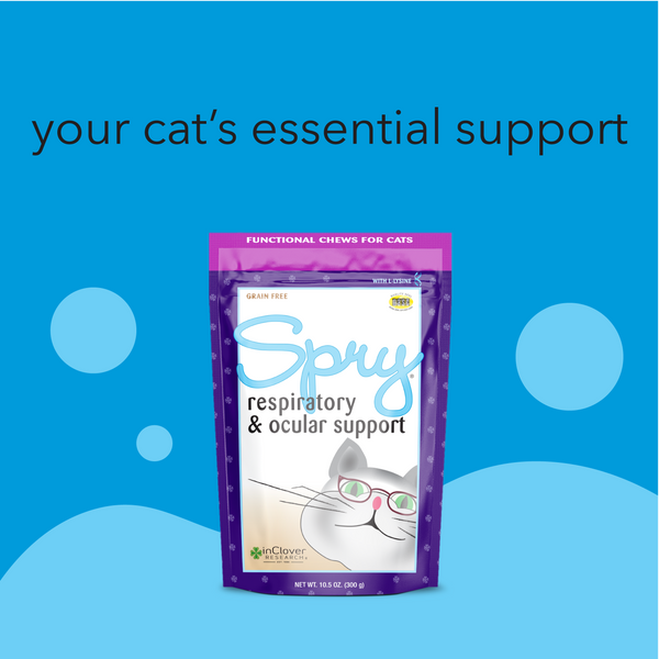 Spry | Respiratory & Ocular Support Supplement Soft Chew for Cats