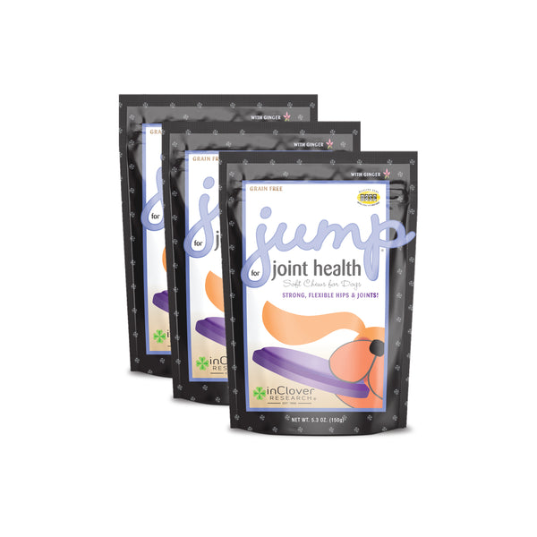Jump | Hip & Joint Dog Chew Supplement for Active Dogs